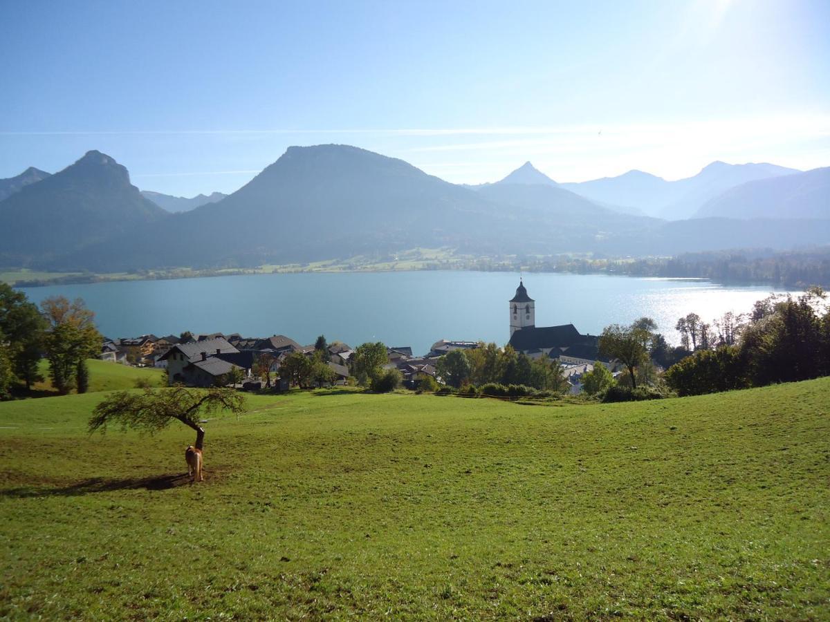 Apartmenthaus Waldhorn Saint Wolfgang Exteriér fotografie